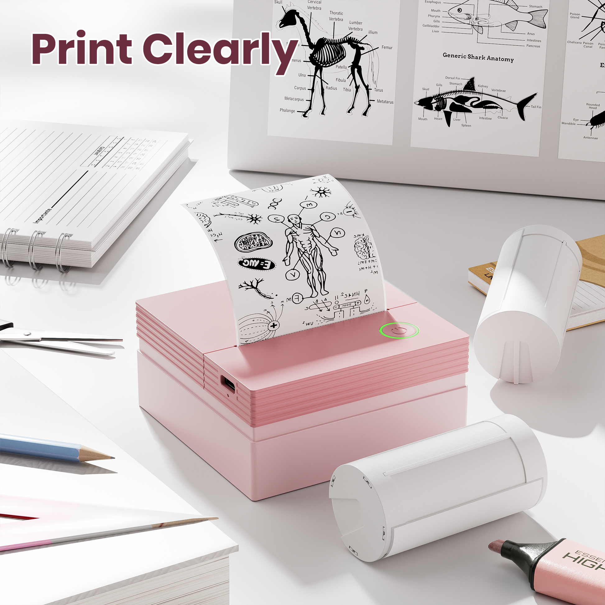 ETIKEZ Genuine Self-Adhesive Thermal Printer Stickers, Compatible with PM290C Mini Sticker Printer, Black on White, 54mmx3.5m Sticker Paper, 3 Rolls, White