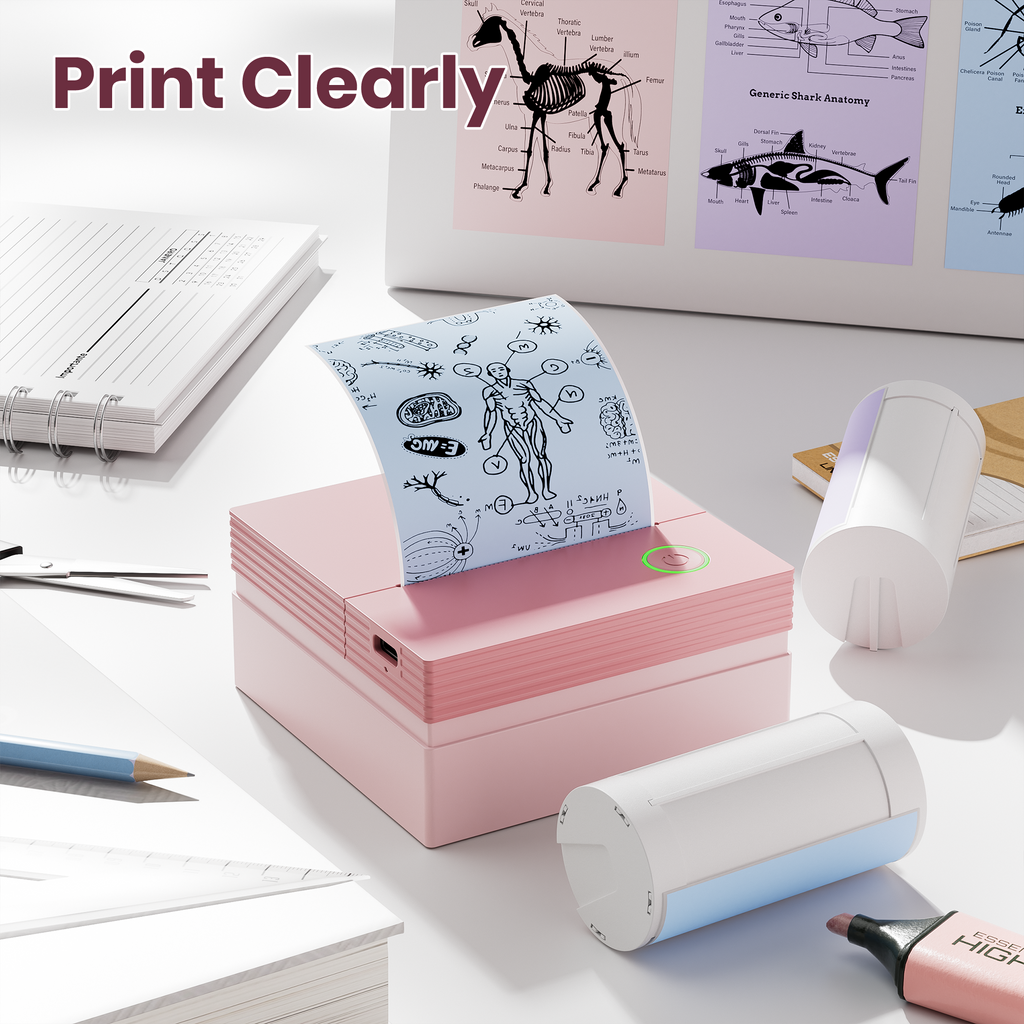 ETIKEZ Genuine Self-Adhesive Thermal Printer Stickers, Compatible with PM290C Mini Sticker Printer, Black on White, 54mmx3.5m Sticker Paper, 3 Rolls, Blue/Pink/Purple