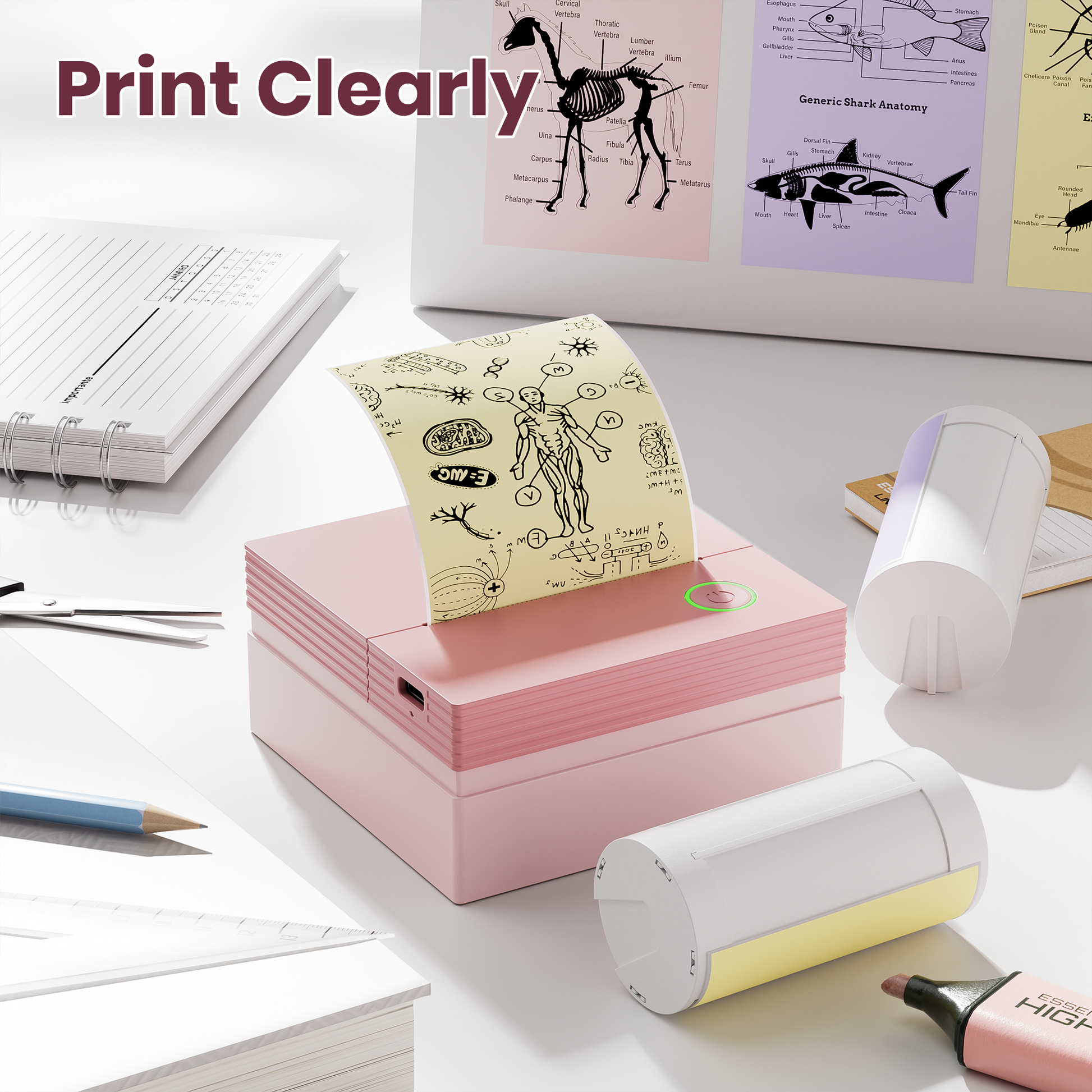 ETIKEZ Genuine Self-Adhesive Thermal Printer Stickers, Compatible with PM290C Mini Sticker Printer, Black on White, 54mmx3.5m Sticker Paper, 3 Rolls, Yellow/Pink/Purple